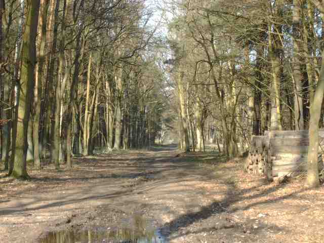 Fernwanderweg E11